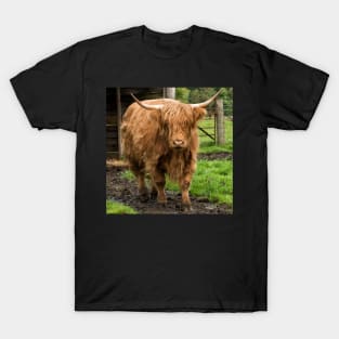 A Stroll in the Mud T-Shirt